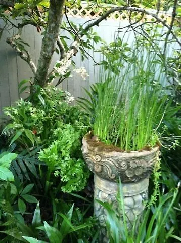 The Secret Garden Room Kapa'a United States